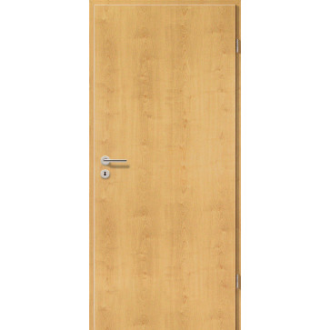 Plain Door Standard Door