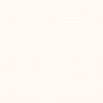 blanc classique (RAL 9010)