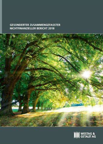 <p>Gesonderter Zusammengefasster Nichtfinanzieller Bericht 2018</p>
